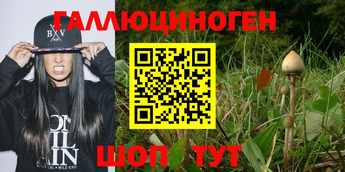 Псилоцибиновые грибы мицелий Котельники