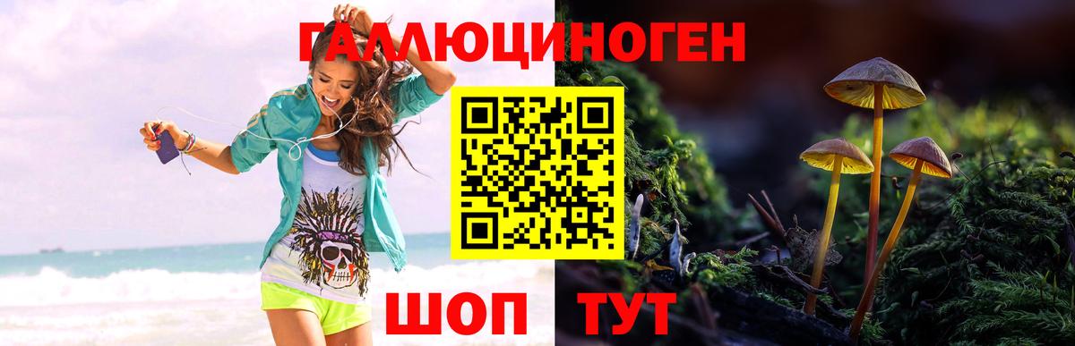 Котельники  Галлюциногенные грибы GOLDEN TEACHER  наркошоп  Вход с VPN  Галлюциногенные грибы GOLDEN TEACHER 